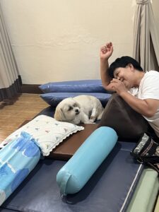 先生と犬